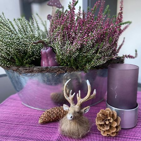 Apartmán Ladigo „Kleines Glueck“ Goslar Exteriér fotografie